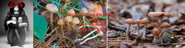 прущая мука Волоколамск