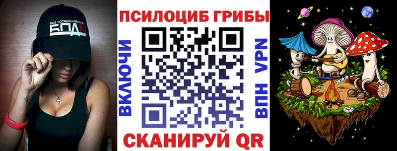 Купить  Касли  Псилоцибиновые грибы прущие грибы 